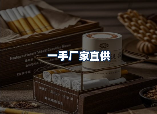 专业团队办公环境